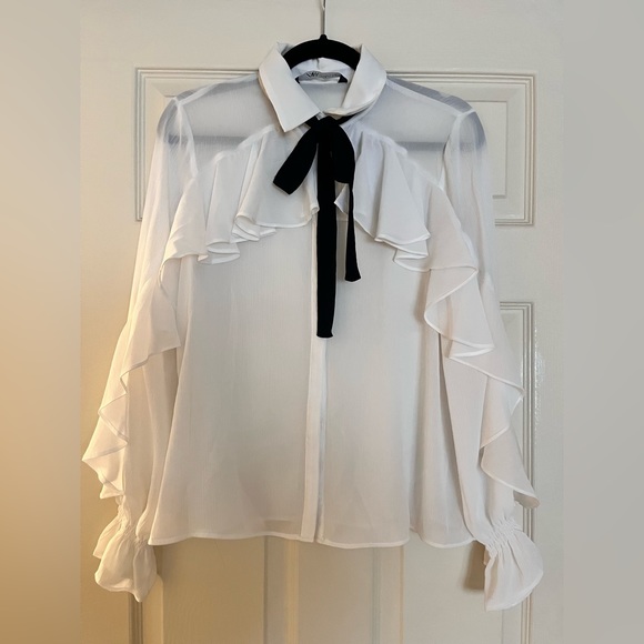 Zara Tops Zara Sheer Collared Blouse Poshmark